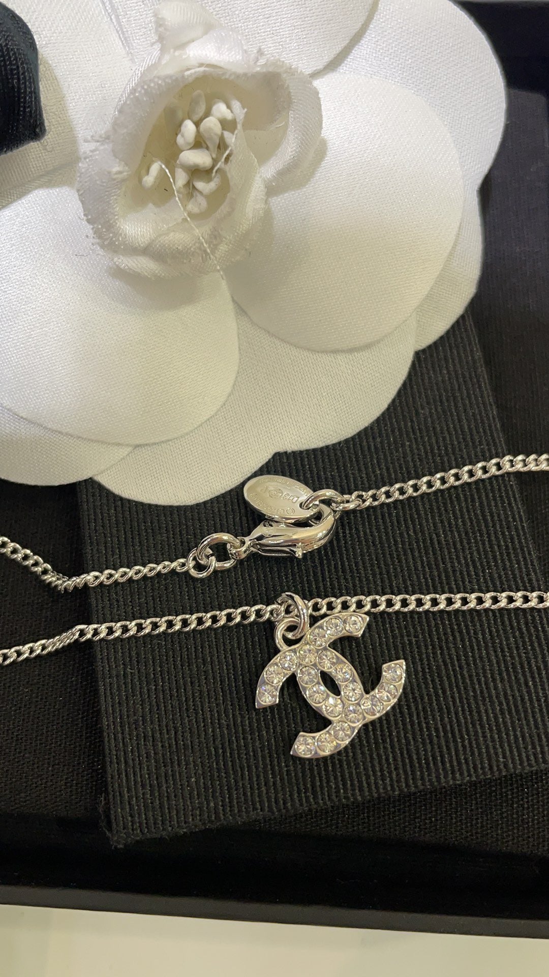 collar clásico cc