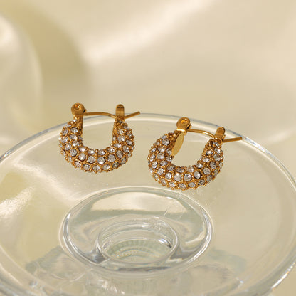 Maria crystal earrings